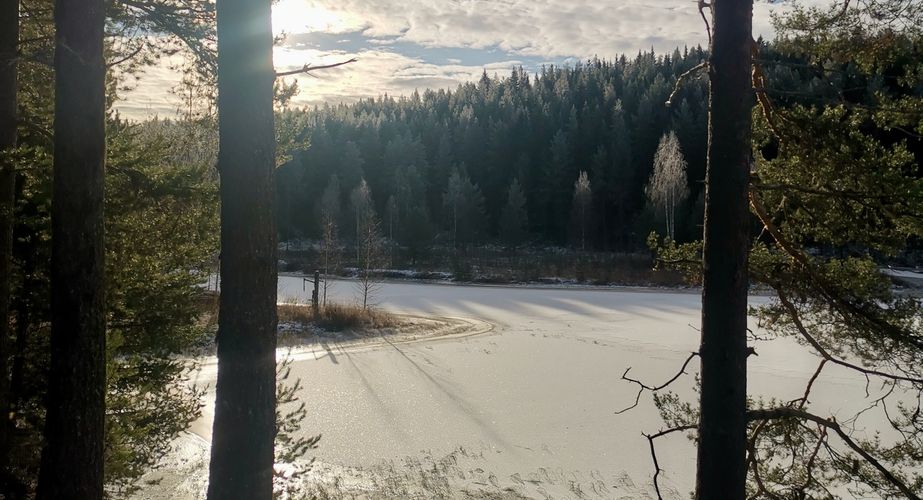 Omgeving Zweeds Lapland groepsreis